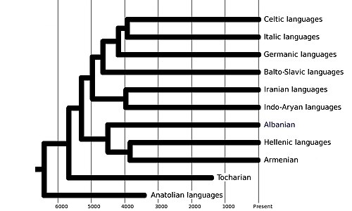 Phylogenetic tree of the Indo-European languages.