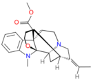 General structure of pseudoakuammigine.