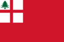 Ensign of New England (St George's Cross).svg.png