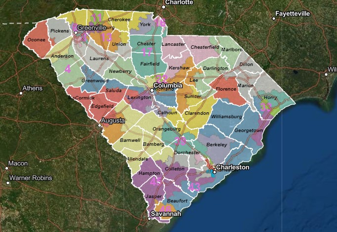 SC Senate map.jpg