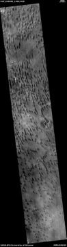Dunes in Newton (Martian crater), as seen by HiRISE under HiWish program