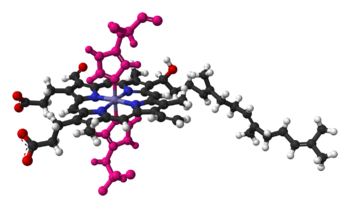 Heme a in cytochrome c oxidase, bound by two histidine residues (shown in pink)