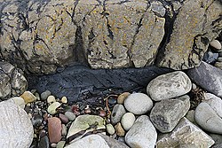 Cullaidh Shale Sill.jpg