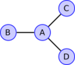 An undirected graph with four vertices.