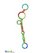 tp2: Secondary structure taken from the Rfam database. Family RF02030