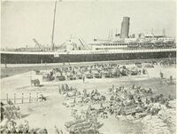 HMT Alaunia (1913) B7 withtwentyninthd00creirich 0042.jpg