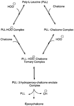 Ternary Complex Formation in the Juliá–Colonna Epoxidation