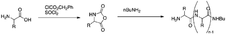 Poly-Leucine Synthesis