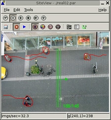 SiteView Pedestrian-Area.JPG