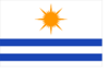 Flag of Palmas