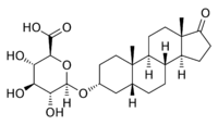 Etiocholanolone glucuronide.svg