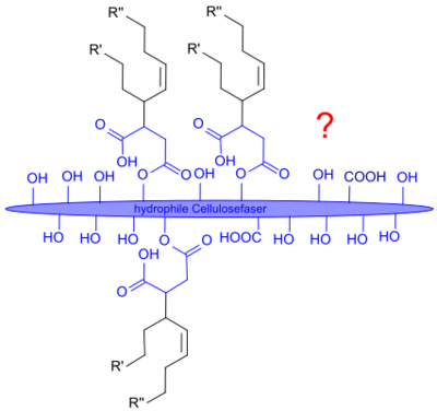 postulierte ASA-Reaktion mit Cellulose