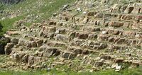 Swan Peak Quartzite (Ordovician) exposed just north of Tony Grove Lake, Cache County, Utah
