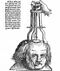 Treatment of a skull injury