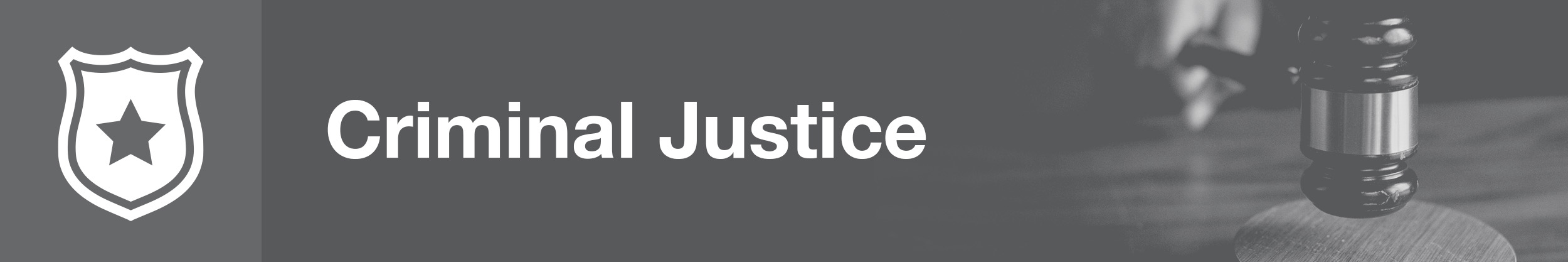 Criminal Justice Banner Gray.png