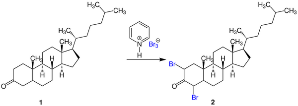 Bromination of a 3-Ketosteroid.