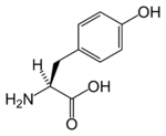Chemical structure of Tyrosine