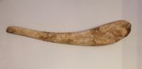 Bovine-rib dagger, HaYonim Cave, Natufian Culture, 12500-9500 BC.