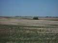 Prairie in Alberta, Canada
