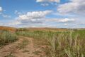 Steppe in Russia