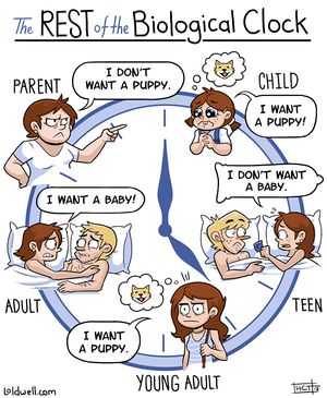 Biological clock.jpg