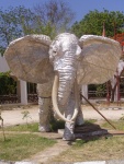 Elephant2.jpg