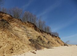 Easton Wood cliffs, Covehithe, Suffolk.jpg