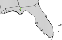 Taxus floridana range map.png