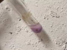 Red cobalt hydroxide.JPG