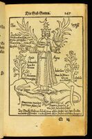 Pandora, das ist, Die edleste Gab Gottes, 1582