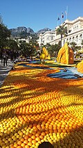 Menton Lemon Festival3.jpg