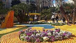 Menton Lemon Festival2.jpg