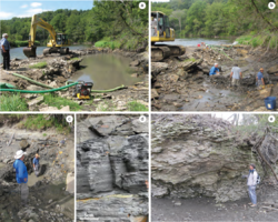 Winneshiek Shale dam & outcrops.png