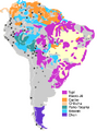 The major South American language families