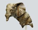 Roman bronze statue of a war elephant, probably the North African elephant.