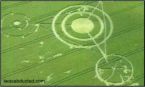 Crop circles...jpg