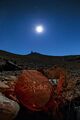 Several prehistoric engravings can be found around La Silla Observatory.[6]