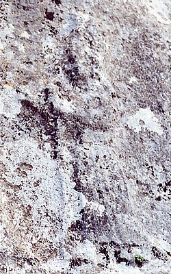 Yazilikaya51 Nabarbi.jpg