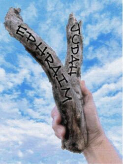 Ezekiel 37 Two Sticks prophecy