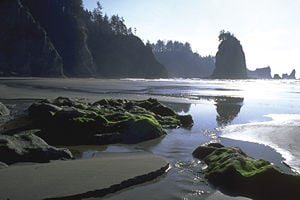 A beach in the coastal section of the park.