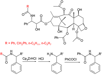 Taxol Semi Synthesis Taxanes