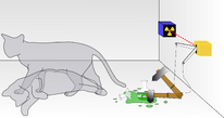 Schrödinger's cat simultaneously dead and alive in a quantum superposition