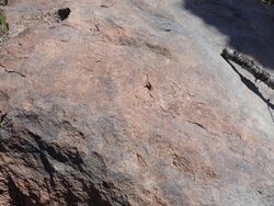 Quartz Latite Cerro Rubio.jpg