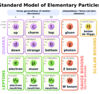 Standard Model of Elementary Particles.svg