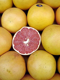 Grapefruits