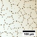 If given enough time, this network of polygons decays into separate droplets.