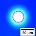 Circular hole formed in a 100 nm thick film of polystyrene. The blue color of the film is due to Structural coloration and depends on the film's thickness.