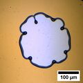 Rim instability in the case of a thicker (200 nm) polystyrene film.
