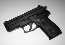 P229 blk.jpg