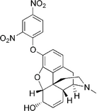 Chemical structure of 2,4-Dinitrophenylmorphine.